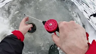 Зимняя рыбалка на Чудском озере февраль 2021 года
