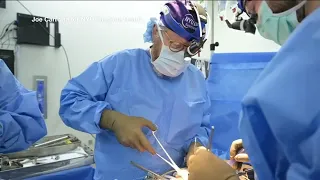 Surgeons transplant gene edited pig kidney into brain dead patient