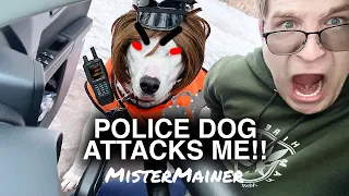 POLICE DOG INJURED ME!! | MISTERMAINER