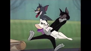 Tom and Jerry 55 Episode Casanova Cat 1951 Capitulo Invertido