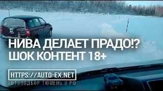 НИВА ДЕЛАЕТ TOYOTA LAND CRUISER PRADO? ШОК КОНТЕНТ! 18+