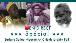 🔴 En Direct Plateau Spécial Mame Cheikh Ibra FALL ak Serigne Saliou Mbacké