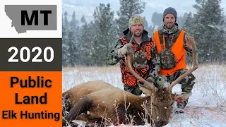 Montana Public Land Elk Hunting 2020