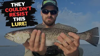 Catching My First Topwater Speckled Trout: BIG Blowups!