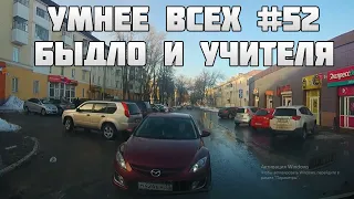 УМНЕЕ ВСЕХ #52. БЫДЛО И УЧИТЕЛЯ НА ДОРОГЕ