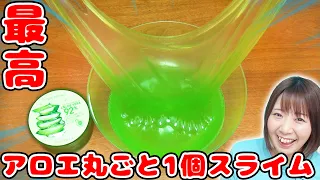 【DIY】ねっとり最高!?w 超簡単！丸ごとアロエスライム作ってみた！！【slime】