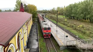 ДМ62-1742. Александровская