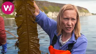 Northern Ireland - tasty dishes with kelp | What's cookin'