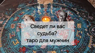 Сведет ли вас судьба еще раз?🤷 таро для мужчин