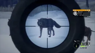 Kill Shot Compilation   [The Hunter: Call of the Wild]