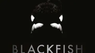 Blackfish Clip 1