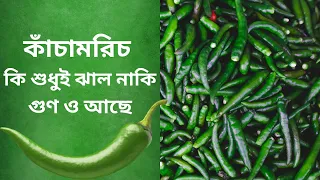 Green Chilli Benefits in Bangla|কাঁচামরিচের উপকারিতা|Green Chilli Health Benefits|বাংলাতে জানি