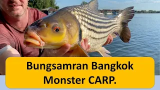 Fishing in Bangkok Thailand, Monster Siamese Carp, Giant Mekong Catfish, Amazon Red tails Bungsamran