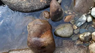 Gold panning NH. Ammonoosuc river.