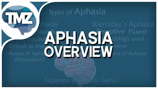 APHASIA OVERVIEW | Types of Aphasia (Broca's, Wernicke's, Amnestic, Conductive and Mixed).