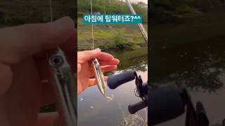 아침 배스낚시에는 탑워터죠???^^#bassfishing #bass #southkorea #배스낚시 #탑워터 #스틱배이트