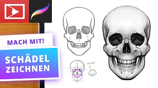 Schädel digital zeichnen | Procreate Tutorial