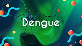 Dengue - Brasil Escola