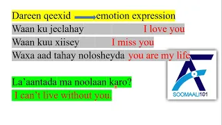 important somali words (love expressions/emotion) erayo xul ah