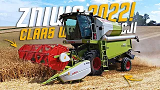 🇵🇱Żniwa 2022🇵🇱 Jęczmień pod kosę!!! ✅Claas avero 160✅ ✅Zetor&Same✅