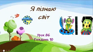 Я пізнаю світ (урок 86 тиждень 10) 3 клас "Інтелект України"