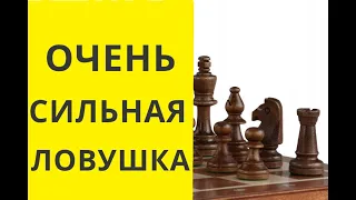 Самая сильная ловушка в Шахматах ! 1 ое место ! Шахматы игра/ как побеждать в шахматы всегда/