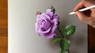 How to draw a purple rose - Time Lapse (Long Version)