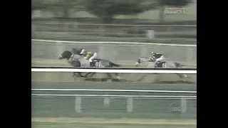 1994 Pimlico Special Stakes