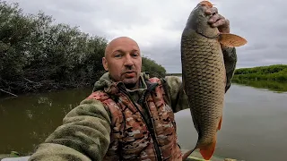 Тонны САЗАНА в болоте или ванна сазанов за час! Рыбалка с подводной камерой. Рыбалка на паук 2024.