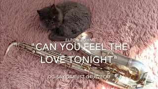 Elton John "CAN YOU FEEL THE LOVE TONIGHT" / DG-SAX Dariusz Gruszecki (cover)