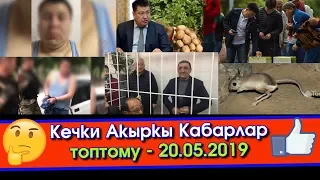 Өзгөндүк ИШКЕРДИ алдаган ТАЛАСТЫК "черный" - КЕНГУРУ сымал ЧЫЧКАН - Битир садаганы ТЕРМИНАЛДАН төлөө