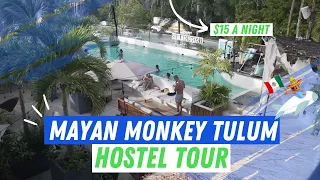 Mayan Monkey Hostel Tulum Tour #hostellife