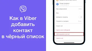 Как заблокировать человека в Viber (добавить контакт в чёрный список)