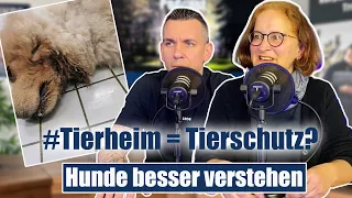 Missstände in deutschen Tierheimen? Einzelhaft, Verletzungen und Co.