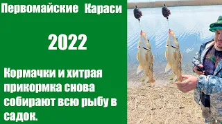 Рыбалка. Первое мая. Ловля карася в мае 2022. ПОКЛЕВКА ЗА ПОКЛЕВКОЙ!!! Рыбалка на донки.