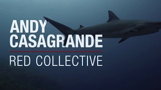RED Collective | Andy Casagrande | 4K