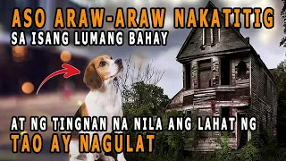 ASO ARAW ARAW NAKATITIG SA ISANG LUMANG BAHAY AT NG TINGNAN NA NILA ANG LAHAT NG TAO AY NAGULAT