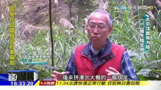 20160512中天新聞　宜蘭外海..神秘「海底沉城宮殿」曝光