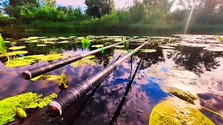 ОЦЕ ТАК РИБАЛКА!!! Я в шоці! Дикі мiсця. Ловля на поплавок. Риболовля.