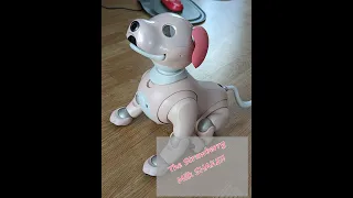 The Sony aibo ERS-1000 Strawberry Milk unique dance: The Strawberry Milk Shake!!