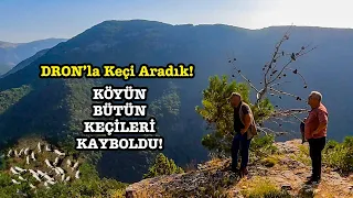 KÖYÜN KEÇİLERİ 4 GÜNDÜR KAYIP! (Drone ile Kaz Dağları'nda Kaybolan Keçileri Aradık)