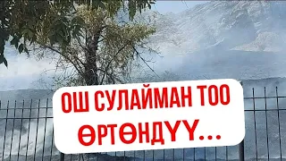 Сулайман-тоодо ӨРТ чыкты!