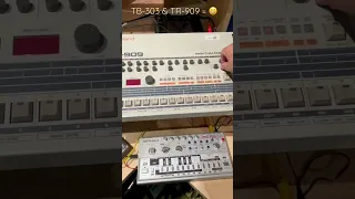 TR-909 and TB-303 workout #tb303 #techno #acidtechno #acid #acidhouse #tr909