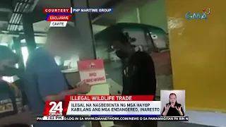 Ilegal na nagbebenta ng mga hayop kabilang ang mga endangered, inaresto | 24 Oras