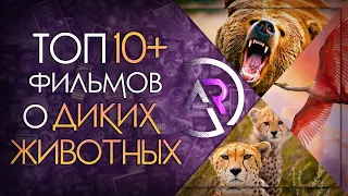 ТОП 10+ ФИЛЬМОВ ПРО ДИКИХ ЖИВОТНЫХ