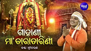 GAHANI - ଗାହାଣୀ | Maa Tara Tarini - ମା' ତାରା ତାରିଣୀ | Sri Charana | Sidharth Music