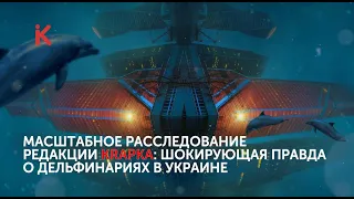 КОГО БЫ ВЫ СПАСЛИ: ЧЕЛОВЕКА ИЛИ ДЕЛЬФИНА? Кто и зачем собирается выпустить всех дельфинов Украины?