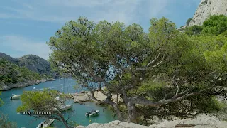 MEDITERRANEO – Les Calanques de Marseille, entre mer cristalline et paysages grandioses