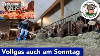 FarmVLOG#198  - Auch am Sonntag geht es Vollgas weiter. #LMSDV