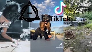 Therian and Quadrobics TikToks || Compilation 🐾🍂 || Alterhumans of TikTok #3